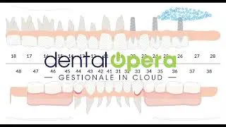 DENTALOPERA, lo strumento indispensabile per il tuo studio.