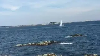Marblehead Neck , The Light Tower Marblehead , MA