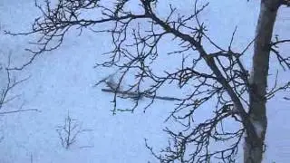 FJOLS TIL FJELLS   Grotli 2011