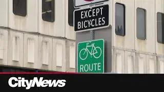 Edmonton councillor questions $65 million spending of bike lane program