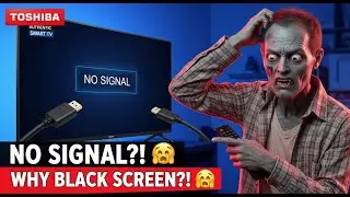 How to Fix Toshiba TV HDMI No Signal (Step-by-Step Guide)