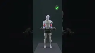 biceps curls perfect form #perfectform #rightform #biceps