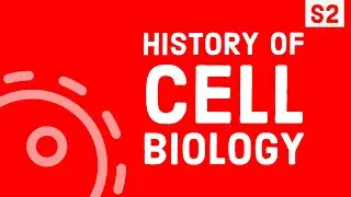 CELL THEORY AND HISTORY ? (CELL BIOLOGY PART 4) || SCIENCE IN 3 MINUTES 2021