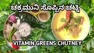 ಚಕ್ರಮುನಿ ಸೊಪ್ಪು ಸಿಕ್ಕರೆ ಖಂಡಿತ ಬಿಡಬೇಡಿ / Vitamin  Greens (Soppu)