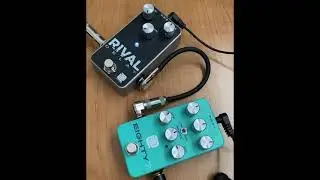 LPD RIVAL Delay impromptu clips