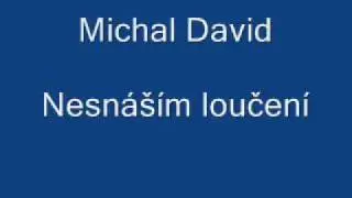 Michal David-Nesn&aacute;&scaron;&iacute;m loučen&iacute;