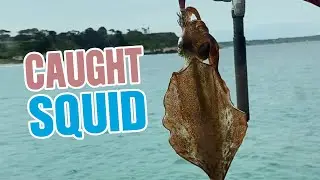 Fishing in Portland Breakwater | Catching Big Squid | #shorts