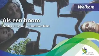 Als een boom // Teunis Jan Klein // 31 januari 2021