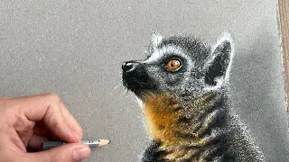How to draw a lemur. Hard drawing ⚠️