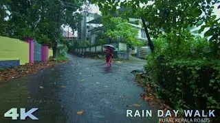 4K ASMR Rain Walk in Kerala Village 🌴 | Monsoon Ambience on Rural Countryside Roads