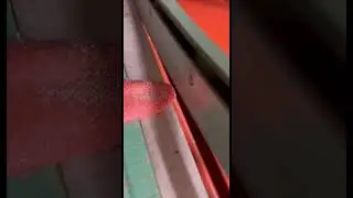 Tongue Tasting: Paper Cutters