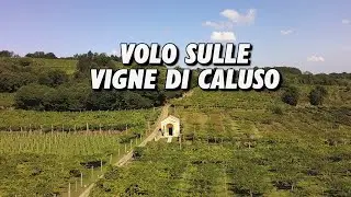 VOLO SULLE VIGNE DI CALUSO, DOVE VIENE PRODOTTO IL CELEBERRIMO ERBALUCE!