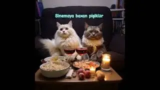 Cats Watching TV, Funny Cat Moments, Cat Drama, viral Cats, Pet Videos, #CatsWatchingTV #FunnyCats