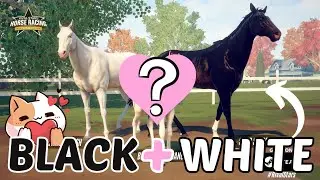 BREEDING PURE WHITE WITH PURE BLACK HORSES! | Rival Stars Horse Racing