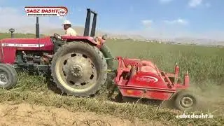 Potato haulm topper