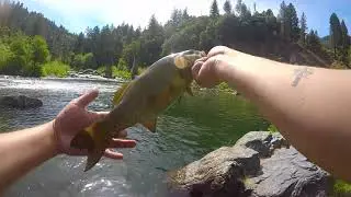 Fishing The Beautiful Feather River Canyon !! Fresh Stocked Trout !!