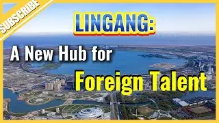 Why are foreign professionals choosing Lingang?