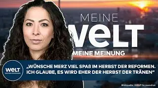 MEINE MEINUNG: Geplante Reformen von Merz - 