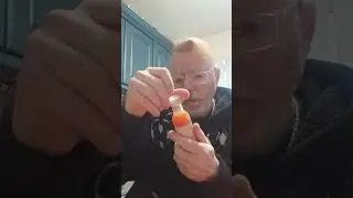 Strange food combination 
