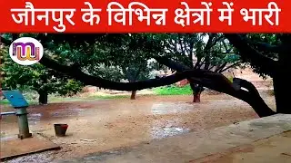 Jaunpur के विभिन्न क्षेत्रों में तेज हवा व बारिश से किसानो के फसल हुए बर्बाद