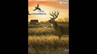 I Hunt, #country #deerhunting #hunting #hunt #deer