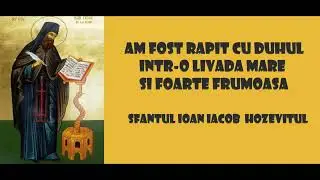 Am fost rapit cu duhul intr-o livada mare si foarte frumoasa - Sfantul Ioan Iacob Hozevitul