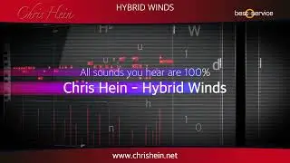 Chris Hein - Hybrid Winds 