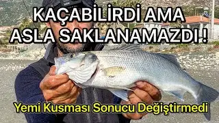 Asla Umudunu Yitirme Sonuna Kadar Git ! Kumsalda sülünez buldum,son anda lokum avladım,canlı yaptım