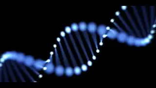 Investigation and Study of Angiotensin-converting Enzyme (ACE) Gene Polymorphism in Iranian Women