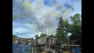 Tree Trimming, September 18, 2011