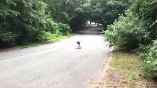 45mph longboard flyby at Twixt