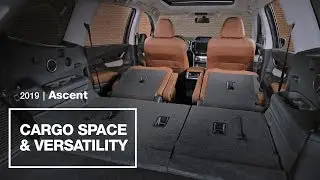 2019 Subaru Ascent Cargo Space and Versatility