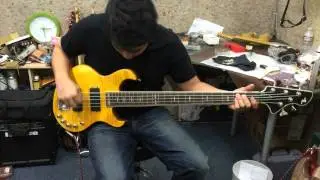 PHRED instruments Saguaro 5-string Bass Guitar.