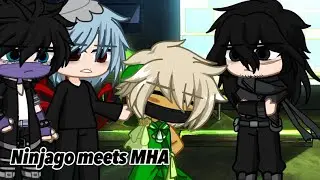 Ninjago meets MHA| 2/2