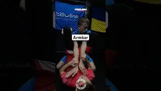 Good technique,what do you think?#armbar #submission #mma