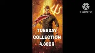 BHOLAA 6TH DAY BOX OFFICE COLLECTION UPDATE (AJAY DEVGAN)