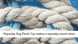 Dog Squeaky Chew Toy