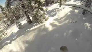 Fluff n Stuff