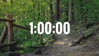 Relaxing 1 Hour Music | Spa, Yoga, Study, Stress Relief - Surrounded by birds & violins