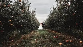 Снял свадьбу на iPhone 5 в 2018! // Shot a wedding on iPhone 5 in 2018
