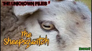 The Unknown Files: The Sheepsquatch