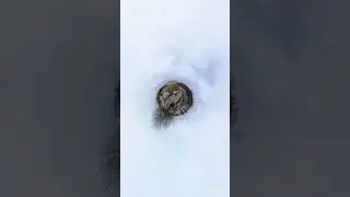 Shot on insta 360