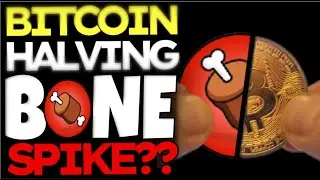 BONE SHIBASWAP DURING THE NEXT BITCOIN HALVING EVENT WILL EXPLODE IN PRICE!!!