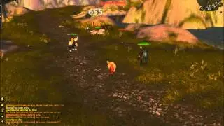 World Of Warcraft Bot