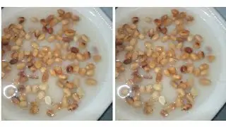 BEST WAY TO DRINK  IJEBU GARRI