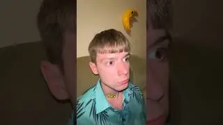 🍁 Биржа труда