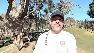 Norm Dynamics- Racism - a psychological race for superiority