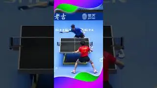 Backhand Spring Wang Chuqin #탁구 #卓球 #乒乓球 #pingpong #tabletennis #sports #shorts