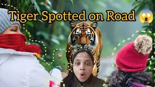Day 2 in Ranthambore tiger spotted #ranthambore #familyvlog