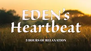 Heartbeat of Eden 🌿 Calm African Drums for Prayer, Sleep & Sacred Stillness (3 Hours)